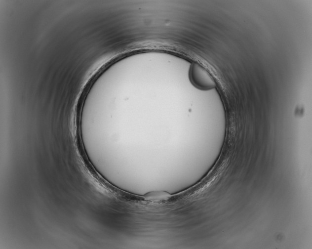 X0000099451082200806061100