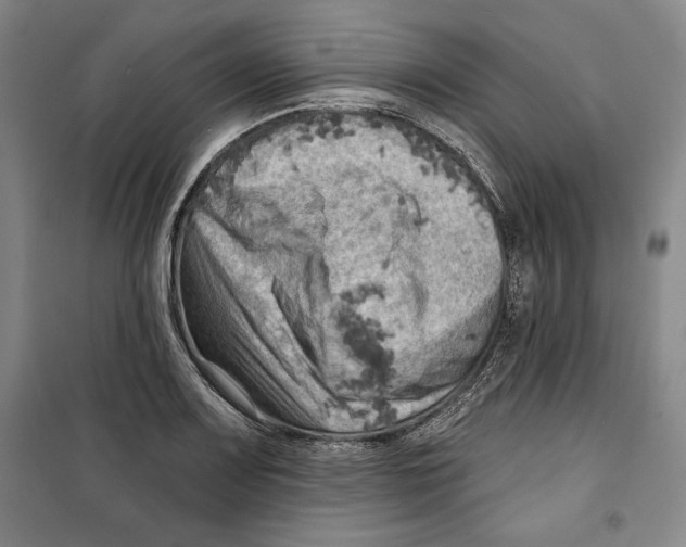 X0000099451083200806061100