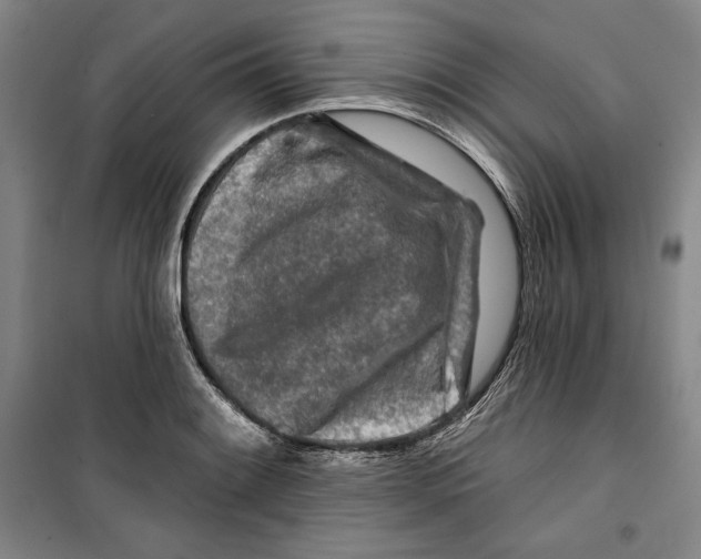 X0000099451084200806061100