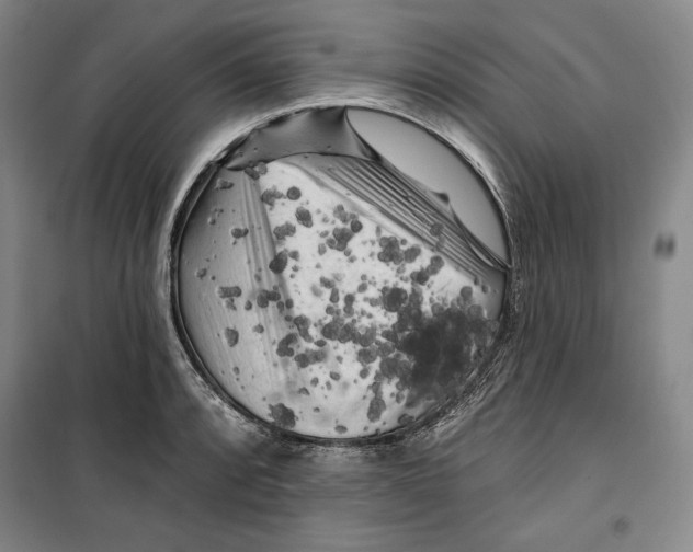 X0000099451088200806061100