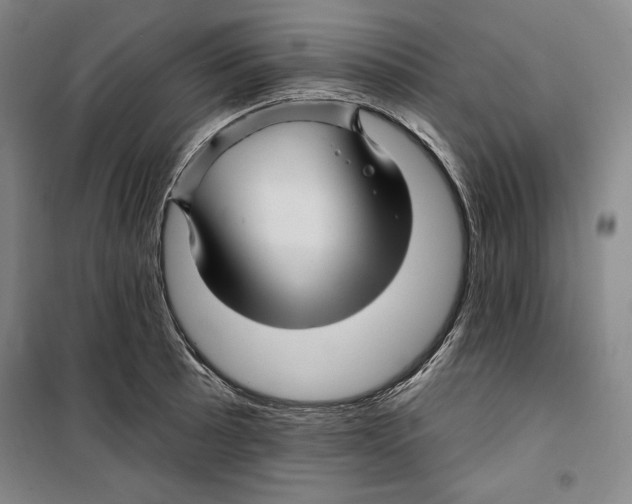 X0000099451089200806061100