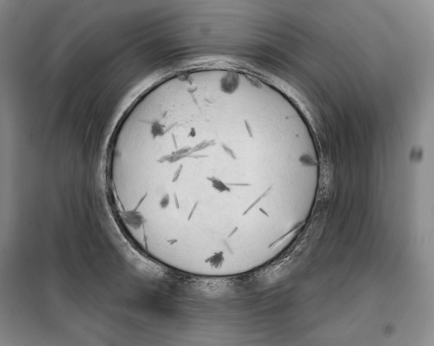 X0000099451090200806061100