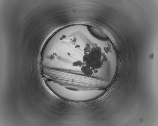 X0000099451092200806061100