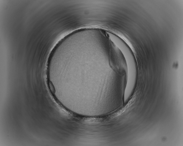 X0000099451093200806061100