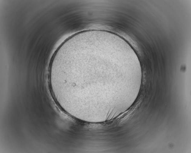 X0000099451094200806061100