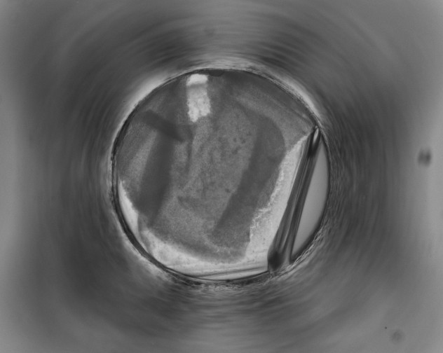 X0000099451095200806061100