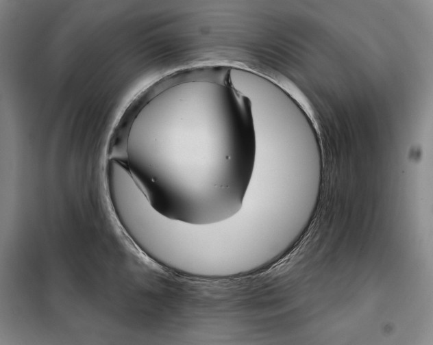 X0000099451096200806061100