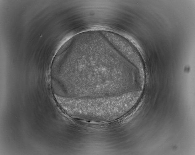 X0000099451097200806061100