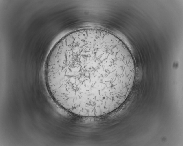 X0000099451098200806061100