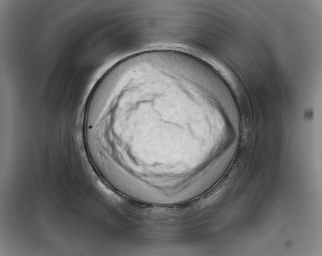 X0000099451102200806061100