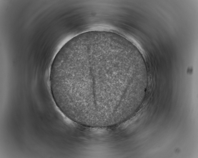 X0000099451103200806061100