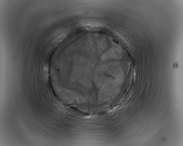 X0000099451108200806061059