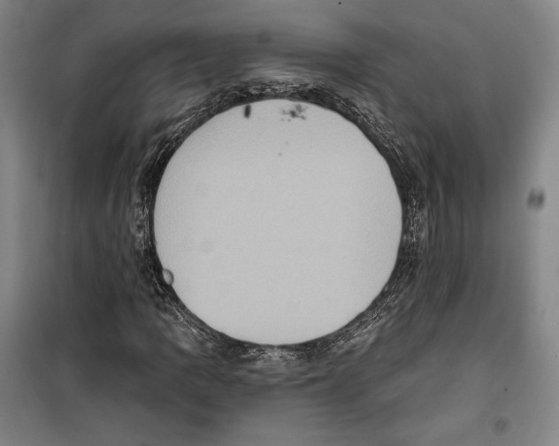 X0000099451109200806061059