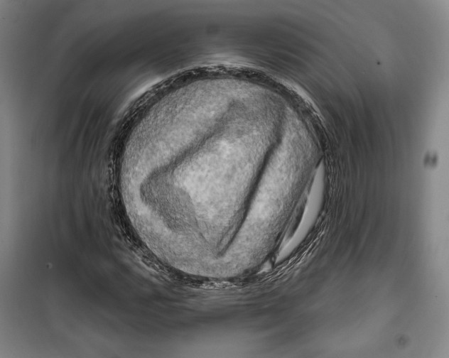 X0000099451112200806061059