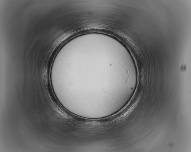 X0000099451113200806061059