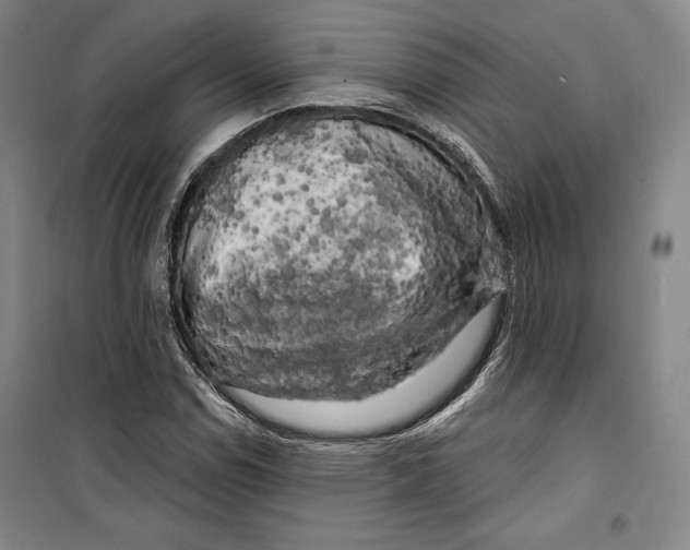 X0000099451114200806061059