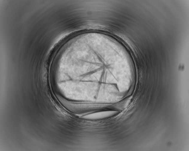 X0000099451115200806061059