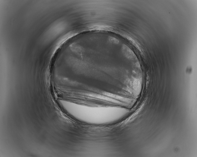 X0000099451117200806061059