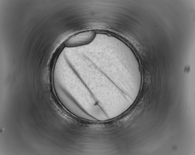 X0000099451118200806061059