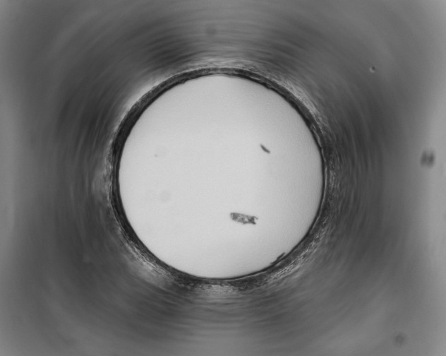 X0000099451119200806061059