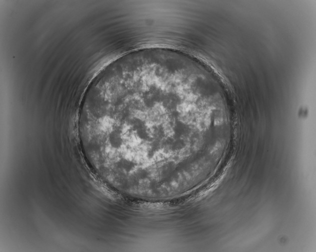 X0000099451121200806061059