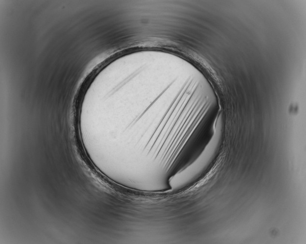 X0000099451122200806061059