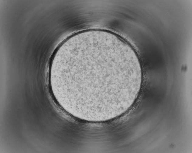 X0000099451126200806061059