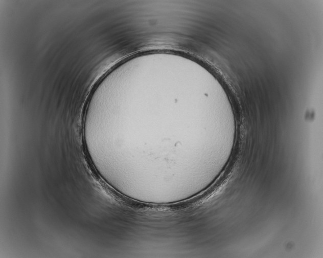 X0000099451129200806061059