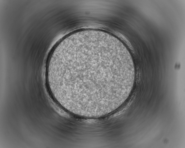 X0000099451130200806061059