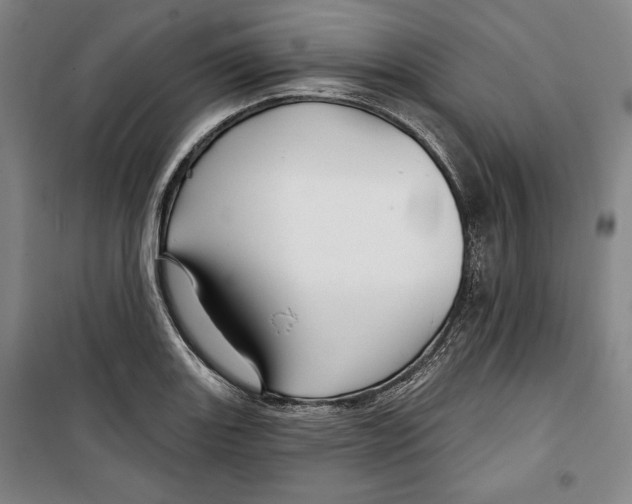 X0000099451131200806061100