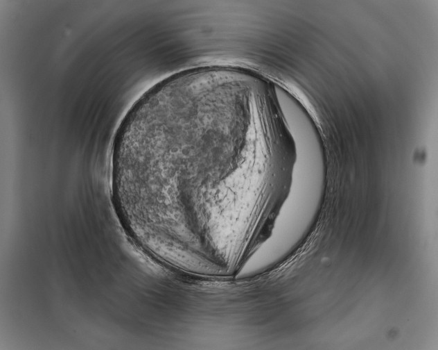 X0000099451132200806061100