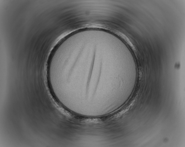 X0000099451133200806061100