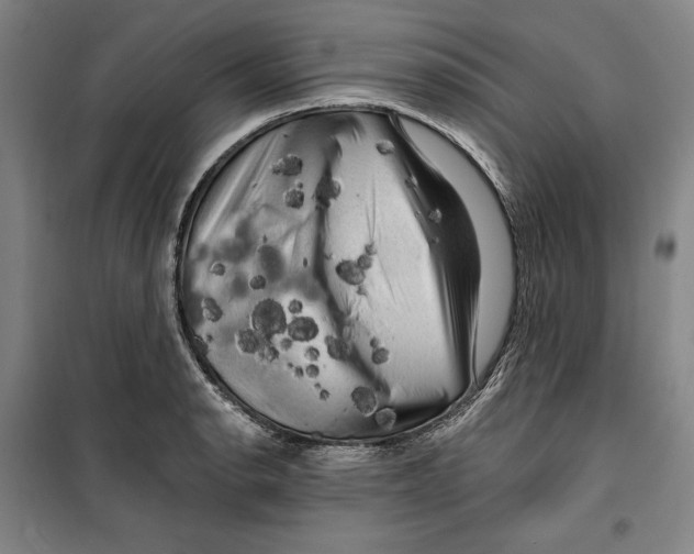 X0000099451134200806061100