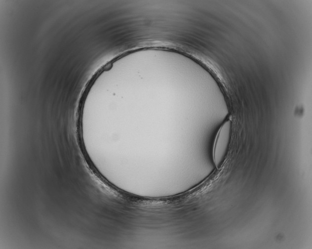 X0000099451135200806061100