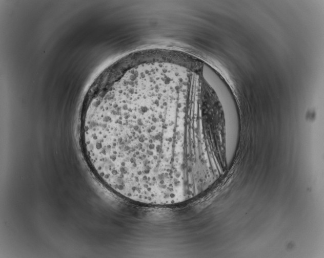 X0000099451136200806061100