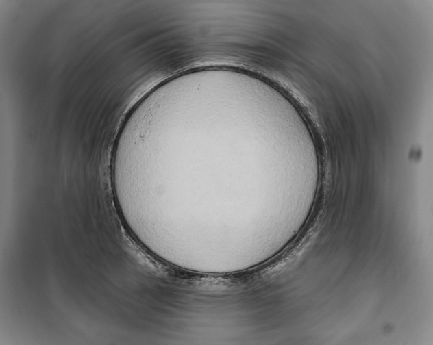 X0000099451137200806061100