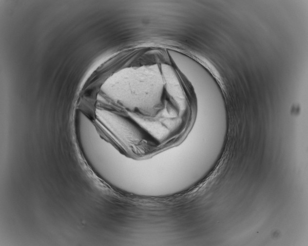 X0000099451138200806061100