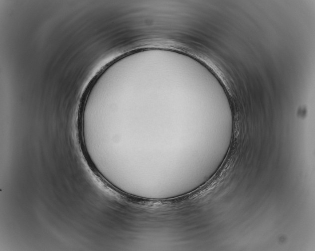 X0000099451139200806061100