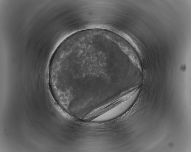 X0000099451140200806061100