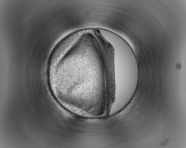 X0000099451142200806061100