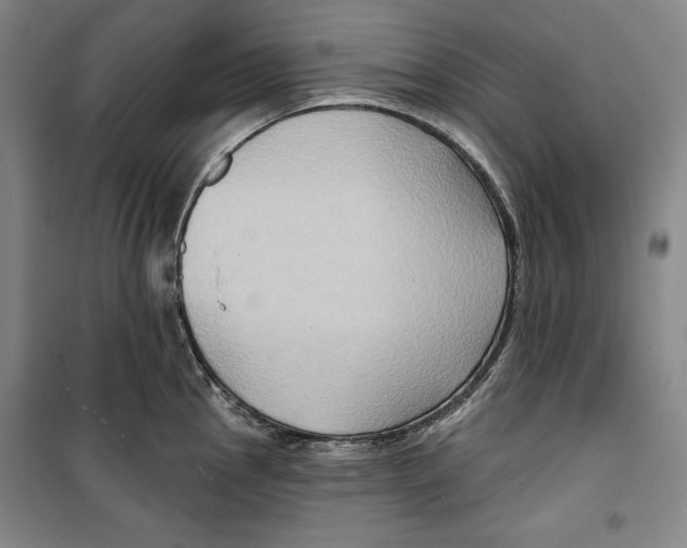 X0000099451145200806061100