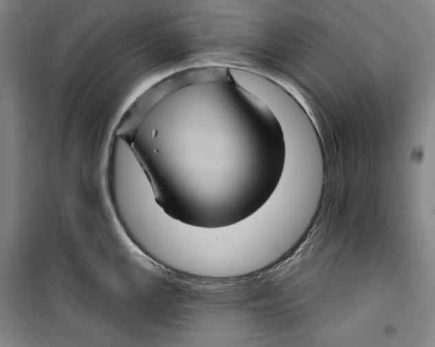 X0000099451147200806061100