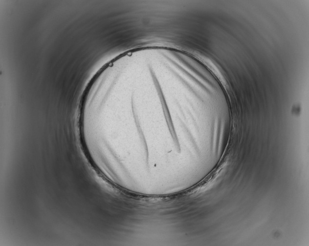 X0000099451149200806061100