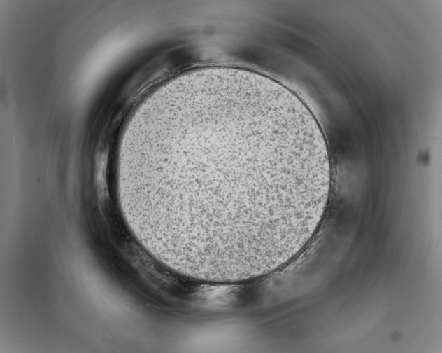 X0000099451150200806061100