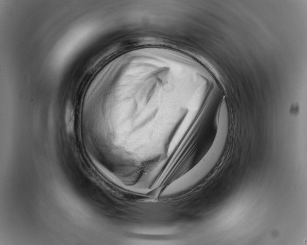 X0000099451151200806061100