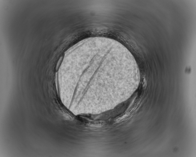 X0000099451153200806061059