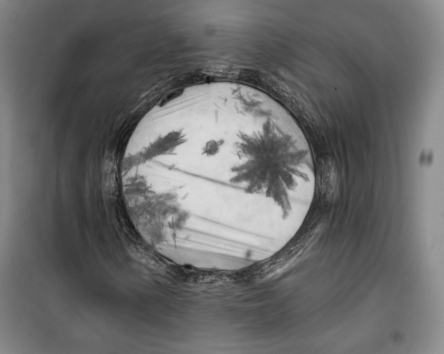 X0000099451154200806061059