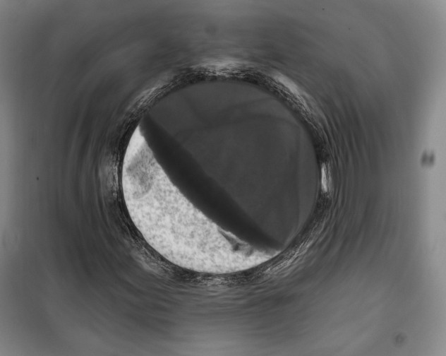 X0000099451155200806061059