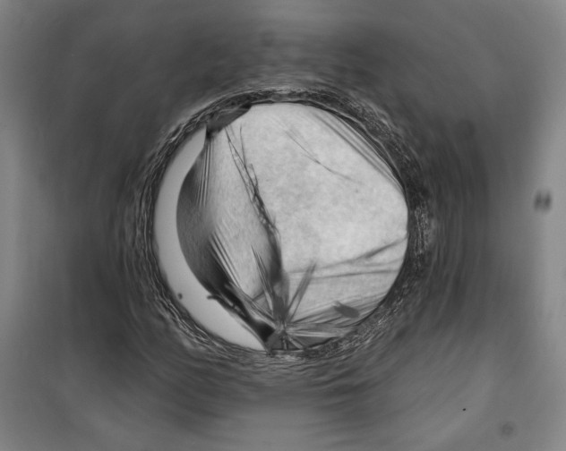 X0000099451158200806061059