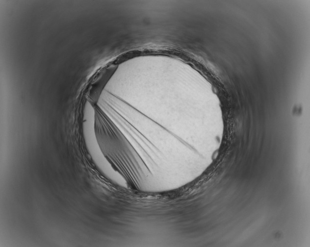 X0000099451160200806061059